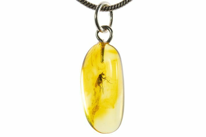 Polished Baltic Amber Pendant (Necklace) - Contains Fly! #339569